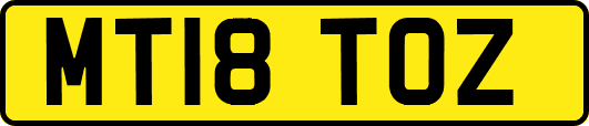 MT18TOZ