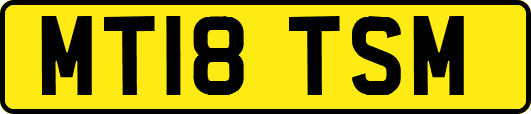 MT18TSM