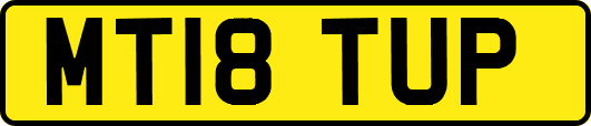 MT18TUP