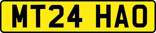 MT24HAO