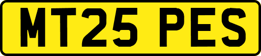 MT25PES
