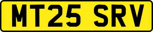 MT25SRV