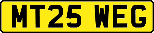MT25WEG