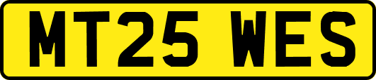 MT25WES