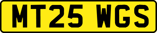 MT25WGS