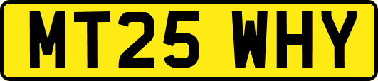 MT25WHY