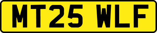 MT25WLF