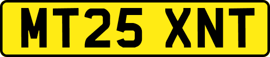 MT25XNT