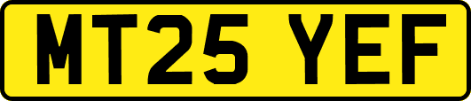 MT25YEF