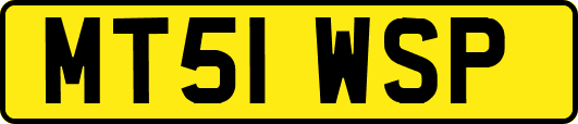 MT51WSP