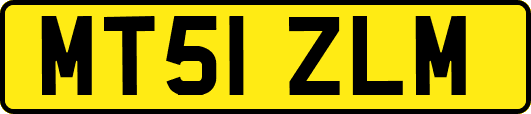 MT51ZLM