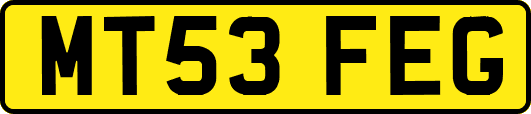 MT53FEG