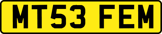MT53FEM