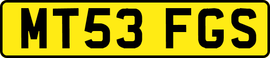 MT53FGS