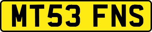 MT53FNS