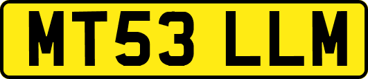 MT53LLM