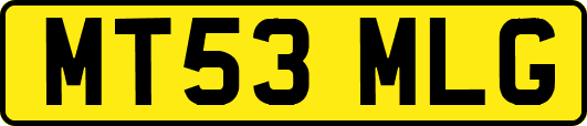 MT53MLG