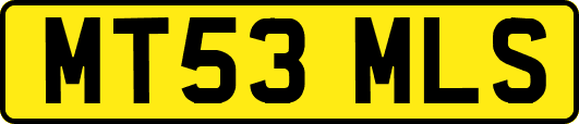 MT53MLS