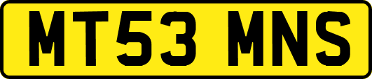 MT53MNS