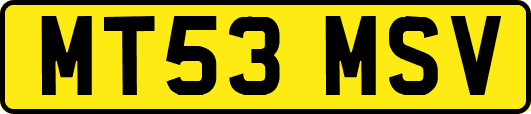 MT53MSV