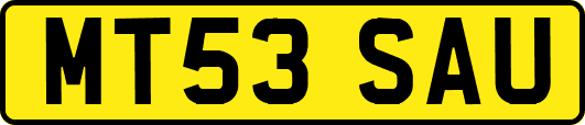 MT53SAU