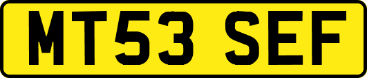 MT53SEF