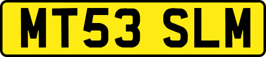 MT53SLM