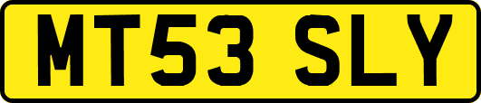 MT53SLY