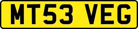 MT53VEG