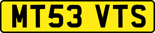 MT53VTS