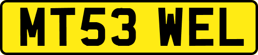 MT53WEL