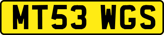 MT53WGS