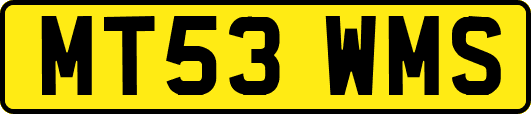 MT53WMS