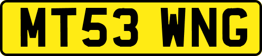 MT53WNG