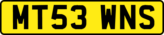 MT53WNS
