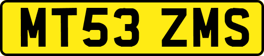 MT53ZMS