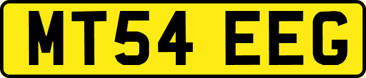 MT54EEG