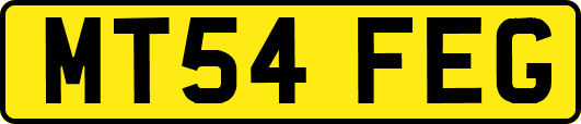 MT54FEG
