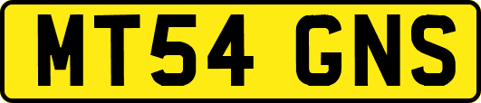 MT54GNS