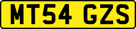 MT54GZS