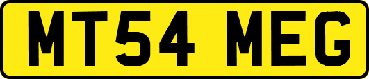 MT54MEG