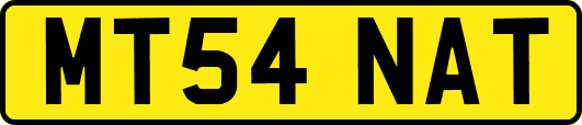 MT54NAT
