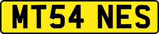 MT54NES