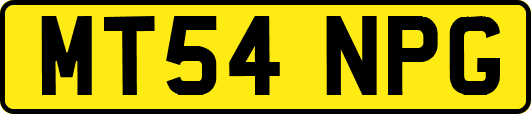 MT54NPG