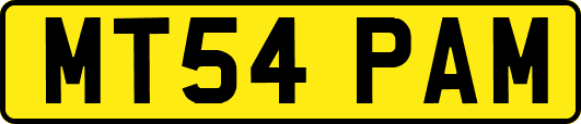 MT54PAM
