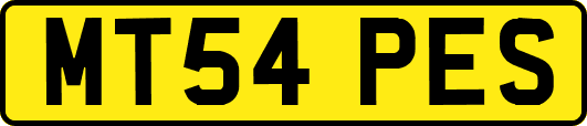 MT54PES