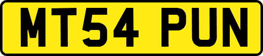 MT54PUN