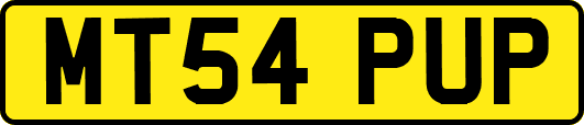 MT54PUP