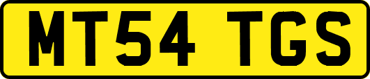 MT54TGS