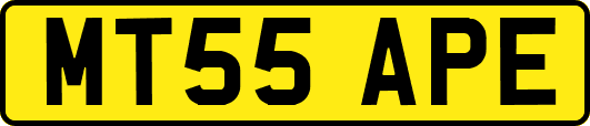 MT55APE